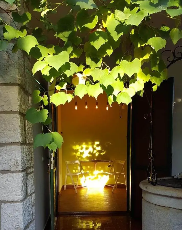 Villa Csipak Rovinj Pensión